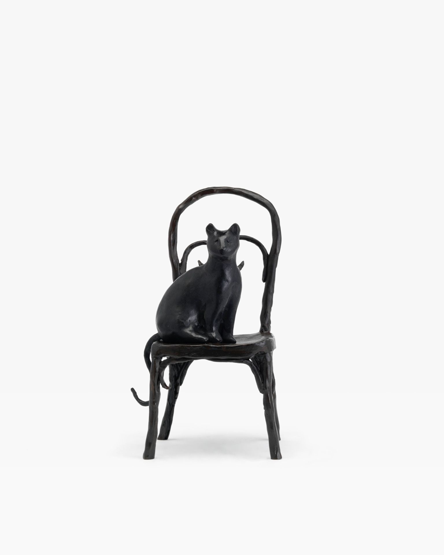 Cat on a Chair